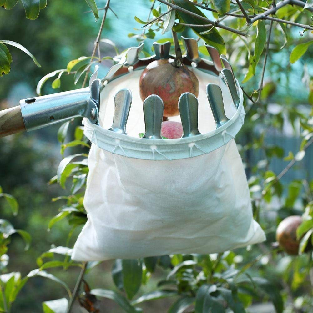 PickEase™ Pro – Fruit Picker with Storage Bag