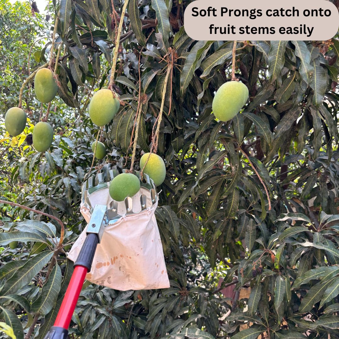 PickEase™ Pro – Fruit Picker with Storage Bag