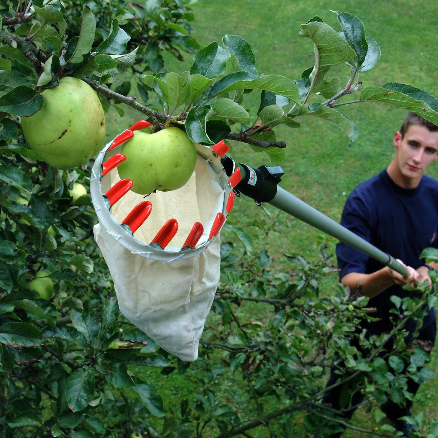 PickEase™ Pro – Fruit Picker with Storage Bag